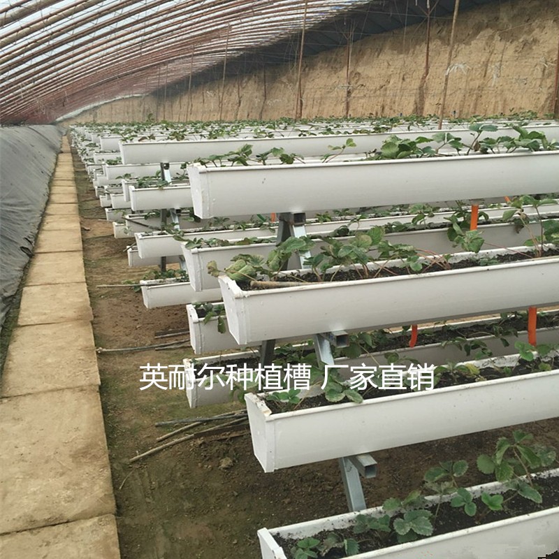 草莓立体种植槽 大棚基质栽培槽
