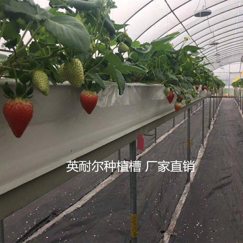 草莓立体种植槽 大棚基质栽培槽