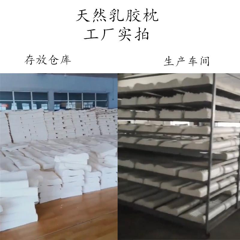 山东宝利乳胶制品生产厂家直销按摩颗粒乳胶枕