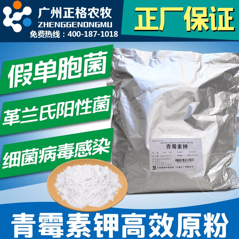 青霉素钾原粉抗生素兽用兽药猪药鸡药呼吸道水产养殖