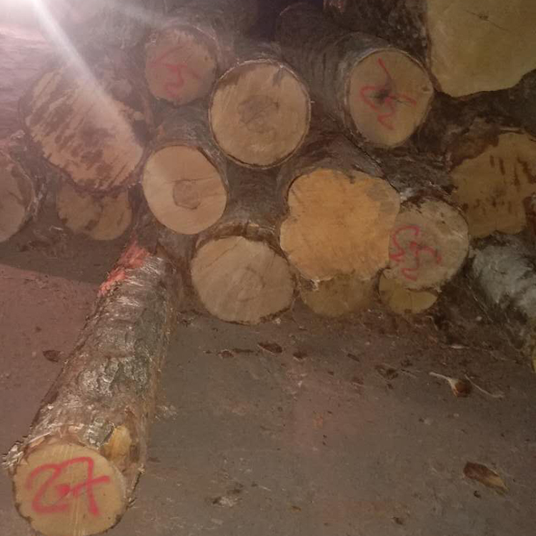 实木家具专用木材接受定制 淼鑫木材供应桦木原木