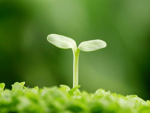 百度爱采购入驻规则,百度爱采购商家入驻流程