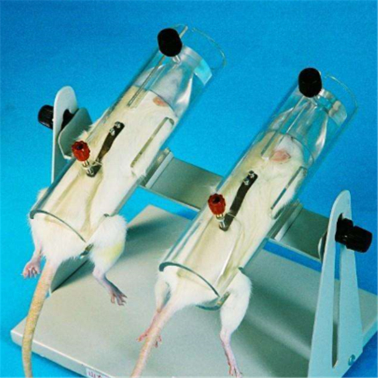 大小鼠固定架 大鼠尾静脉注射固定架 大小鼠尾静脉注射固定器-仪器
