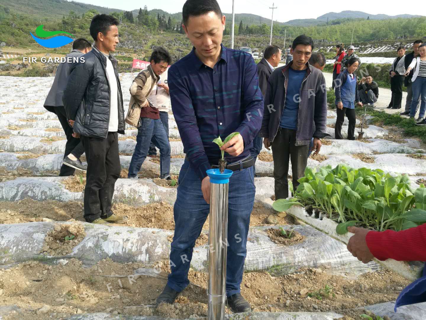 不锈钢栽苗器蔬菜移苗器多功能移栽器苗栽器秒栽器移植器种植器种苗器