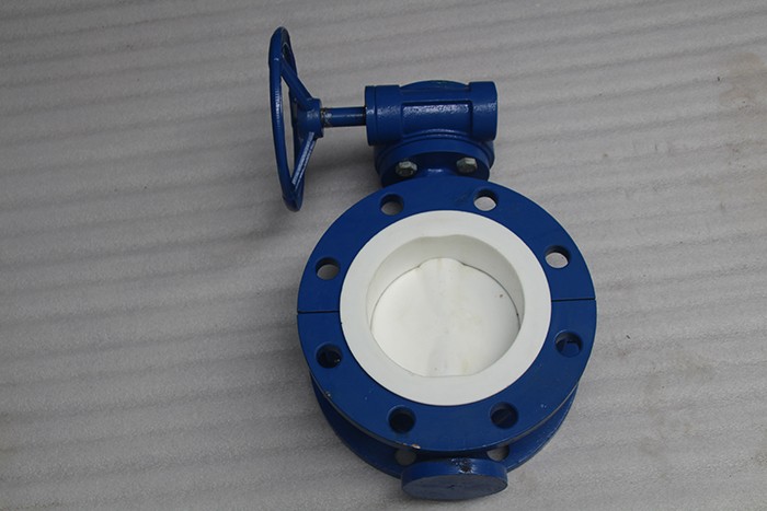 d341f4-10蜗轮全衬四氟蝶阀