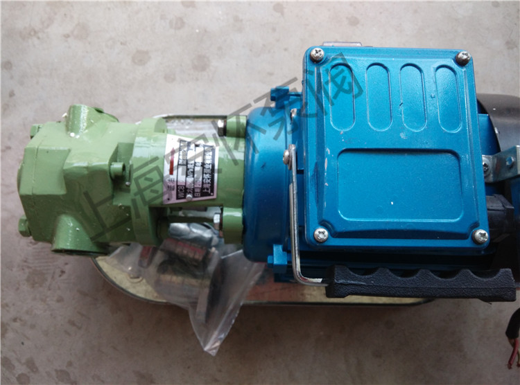 wcb-50小型采油泵 手动注油泵