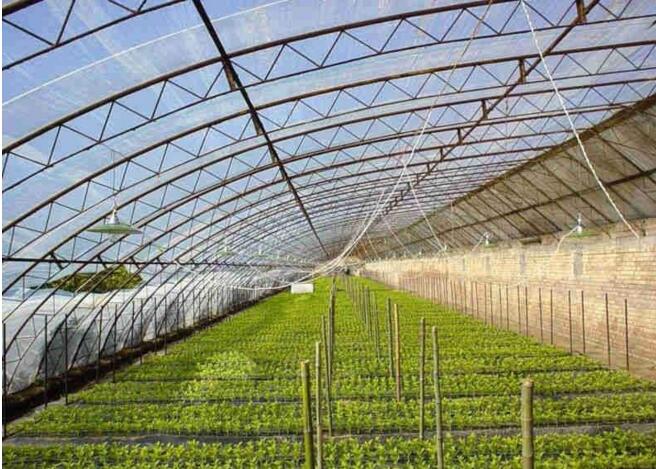 新型日光温室蔬菜大棚厂家首选豫拓温室