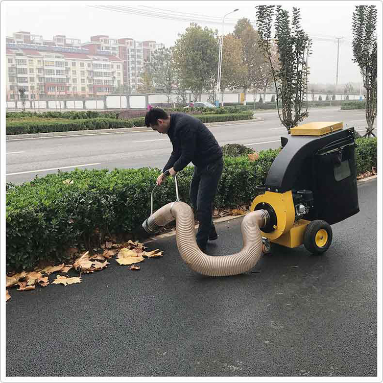 环卫手推式吸叶机 大功率汽油吸叶机 移动式落叶清扫机-道路清扫车