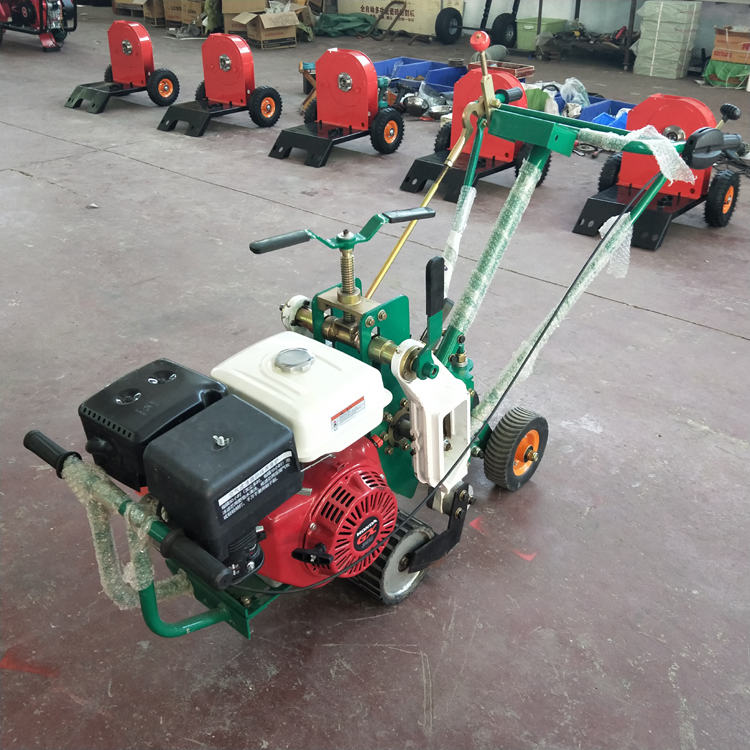 一天内发货马尼拉起草机 草皮移植养护卷草机 双刀起草皮机