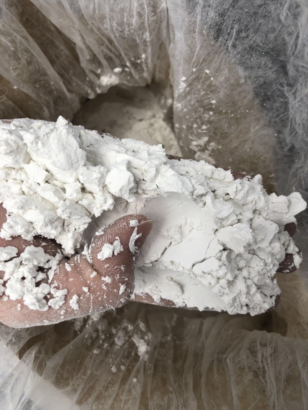 厂家供应手足模型专用旺田克隆粉模型粉-其他类型日用