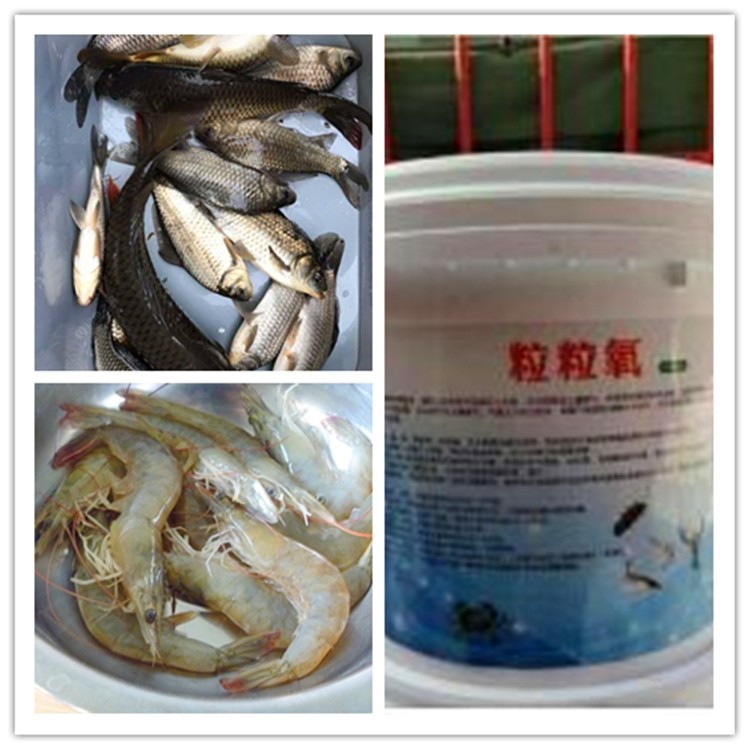 粒粒氧 大力氧鱼塘增氧剂现货直销