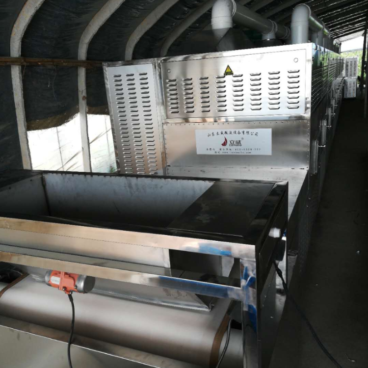 郑州黑水虻烘干设备