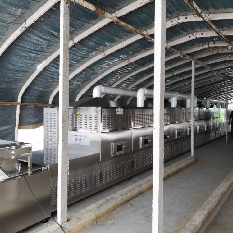 六盘水黑水虻烘干机厂家 立威微波设备流水线黑水虻微波烘干机