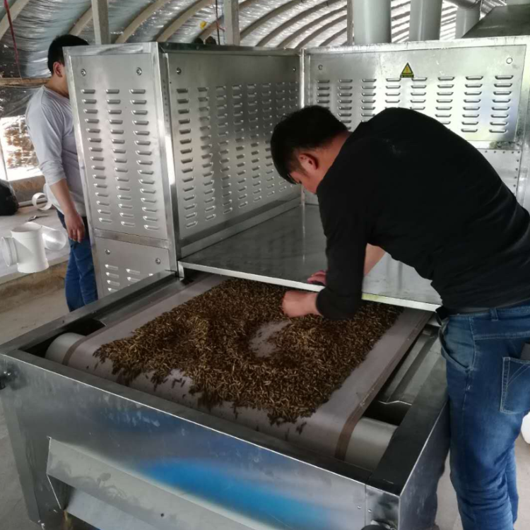 >=2 >=3 价格 62000 61000 60000   黄粉虫干燥设备 微波黑水虻烘干机