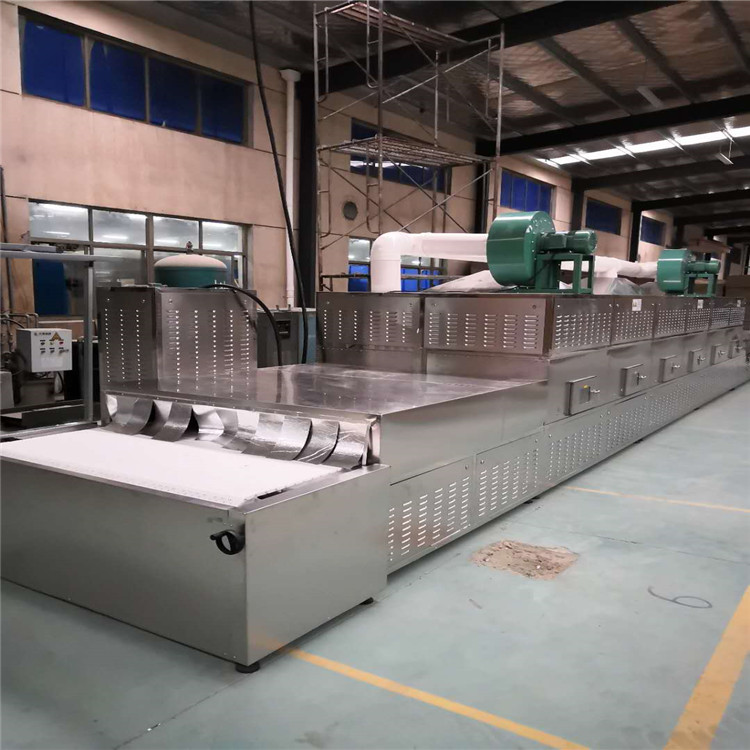 山东流水线肉制品微波解冻机械设备厂家