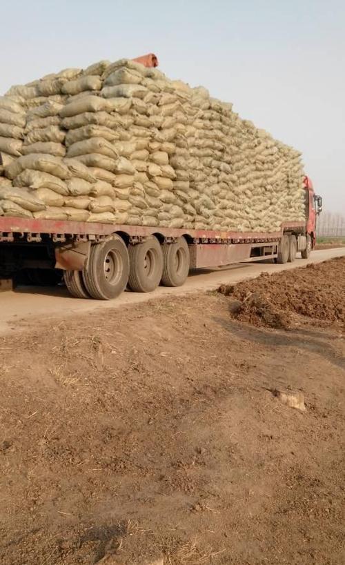 发酵牛粪 农作物底肥 供应发酵干牛粪-有机肥|有机肥|农业–大豆网