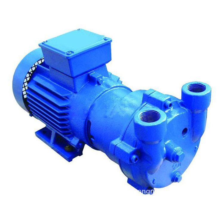 国隆仲尼水环真空泵2bv5161 液环真空泵 水环式真空泵 厂家直销 质量